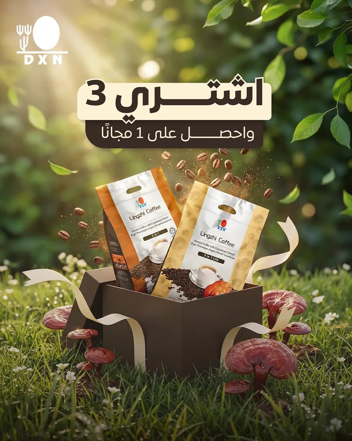 DXN Coffee — 4