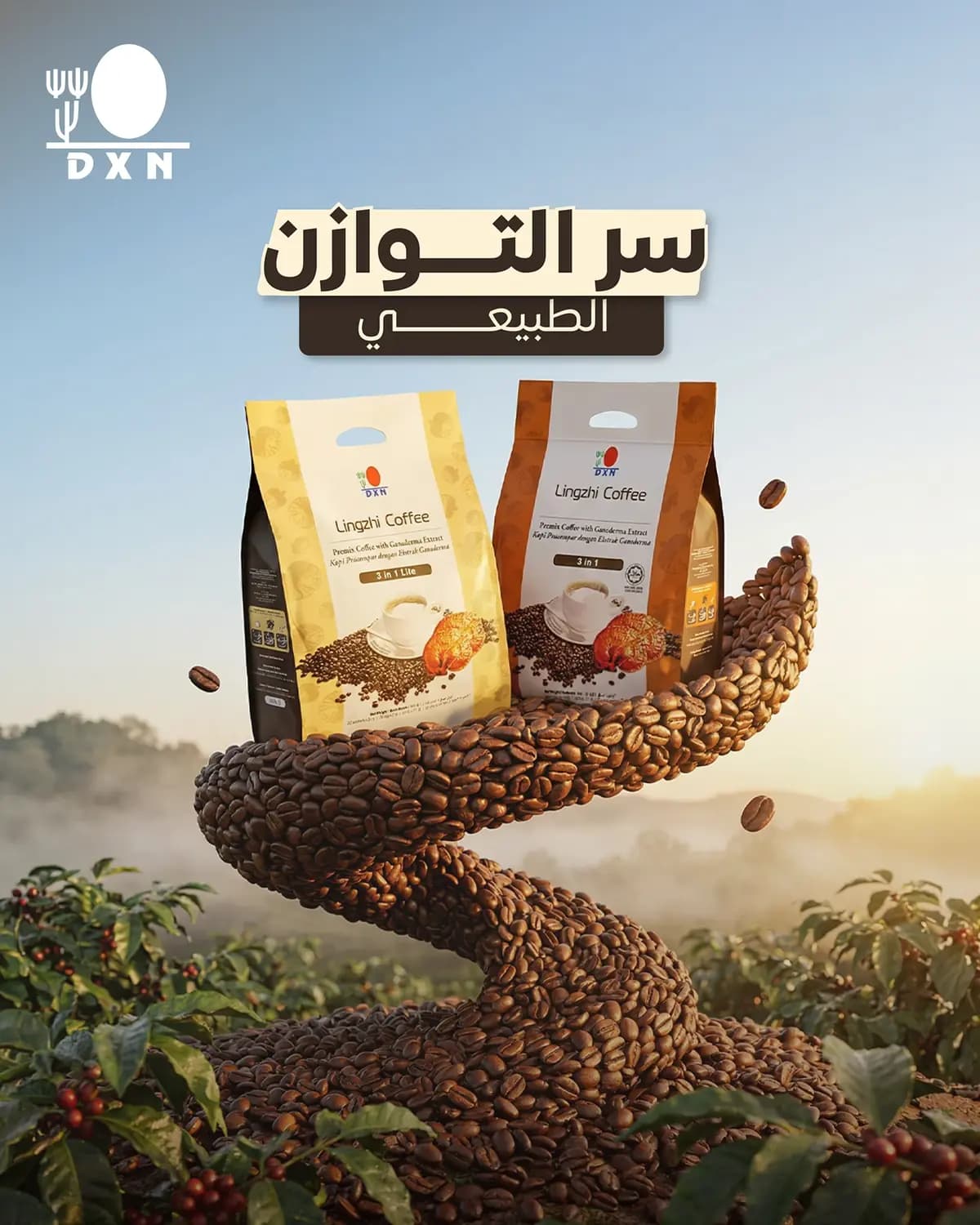 DXN Coffee — 8