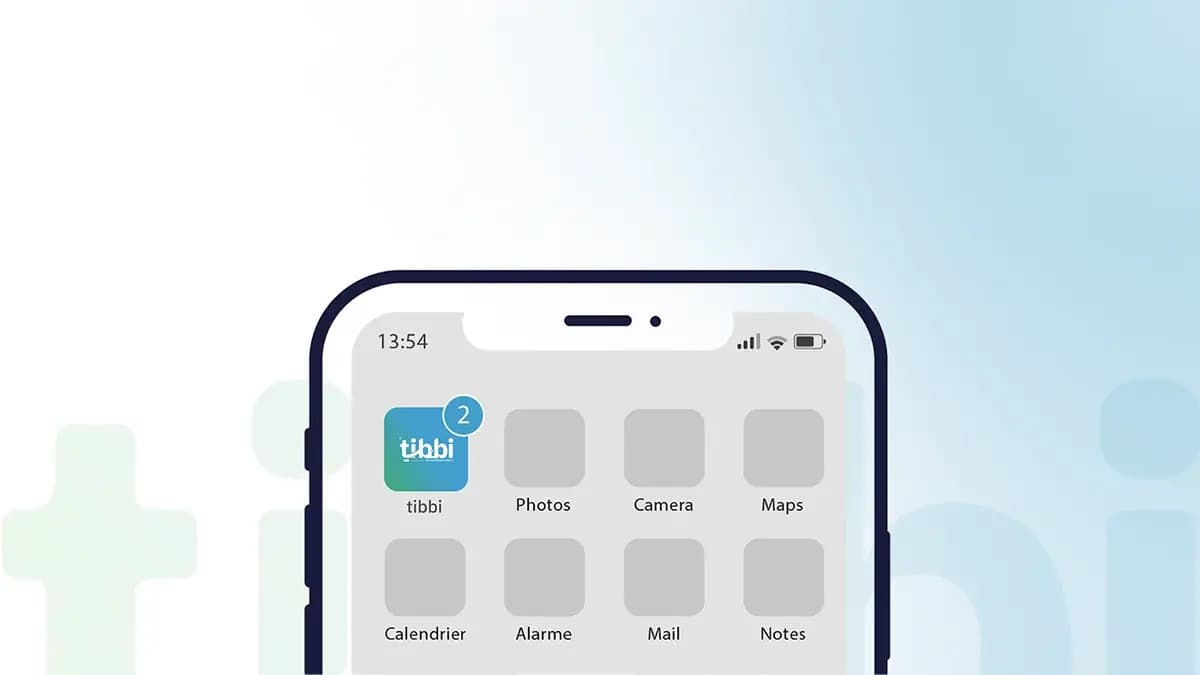 Tibbi — Brand Identity — 2